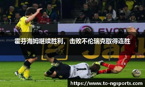霍芬海姆继续胜利，击败不伦瑞克取得连胜
