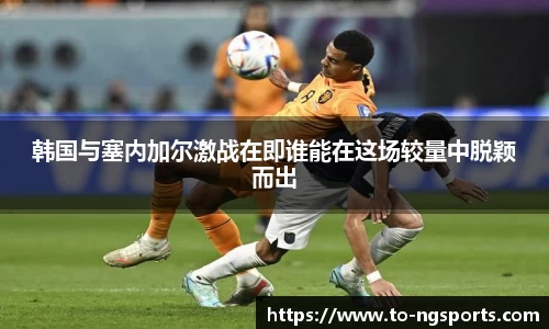 南宫娱乐